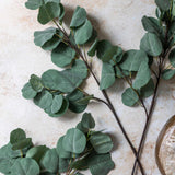 Abigail Ahern Artificial Eucalyptus Silver Dollar, several green stems laid on a stone surface