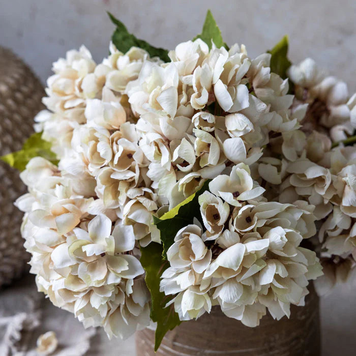 Abigail Ahern Artificial Hydrangea in Morning Mist, close-up of the cream and taupe petals in a brown vase