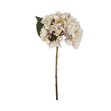 Abigail Ahern Artificial Hydrangea in Morning Mist, single cream faux hydrangea stem with brown-tinged petals on white
