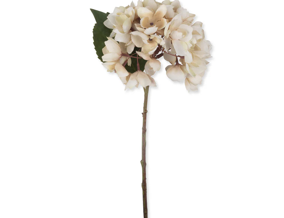 Abigail Ahern Artificial Hydrangea in Morning Mist, single cream faux hydrangea stem with brown-tinged petals on white