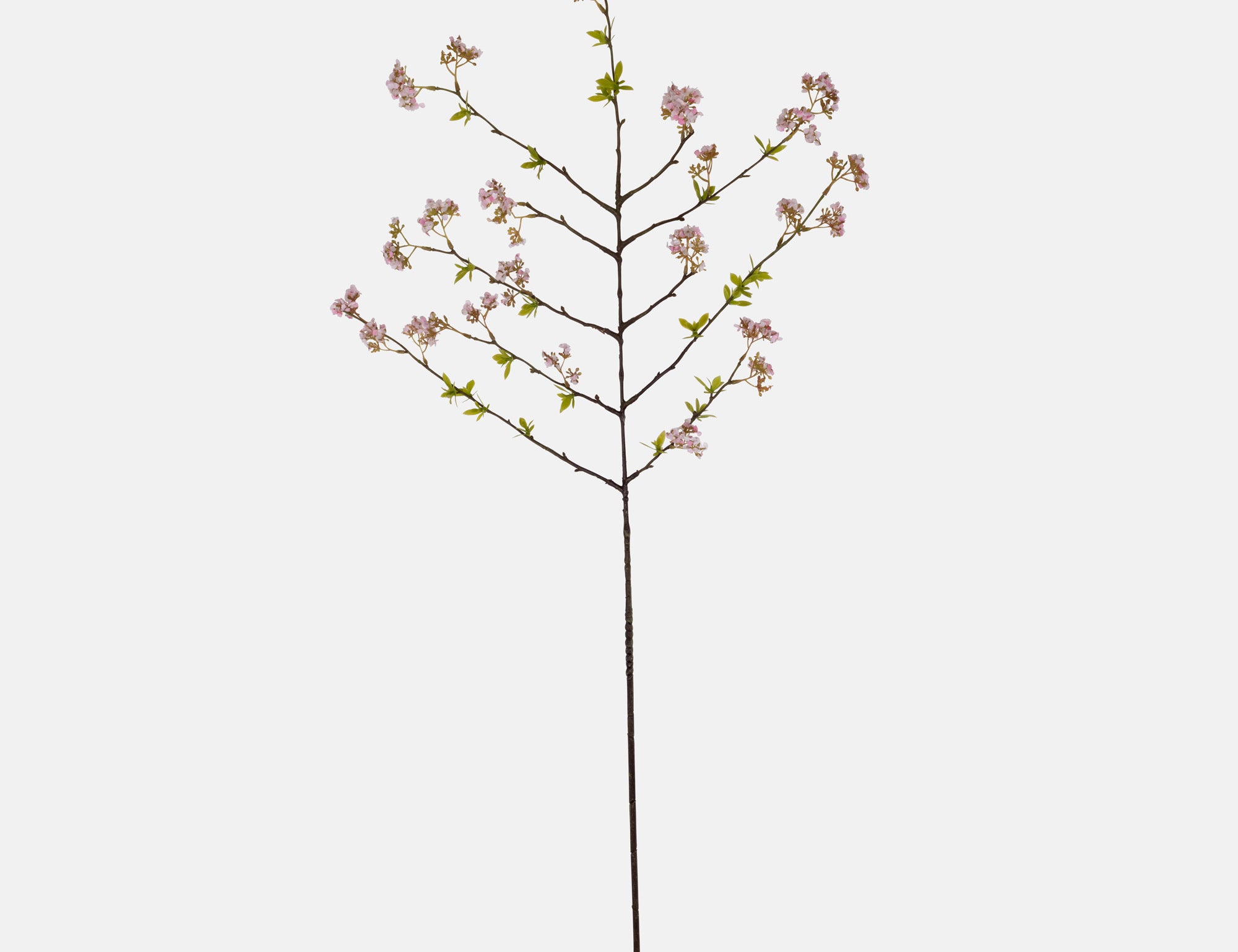 Abigail Ahern Artificial Pink Cherry Blossom, single faux branch with small pink blossoms on white