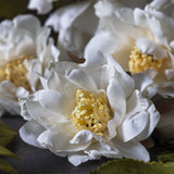 Abigail Ahern Artificial Rose Cream Spray, close-up of the white petals and yellow centers