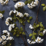 Abigail Ahern Artificial Rose Cream Spray stems laid on a dark navy surface