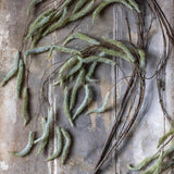 Abigail Ahern Artificial Trailing Catkin stems laid on weathered grey wood