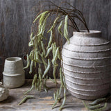 Abigail Ahern Artificial Trailing Catkin stems draping from a white ribbed vase on a dark shelf