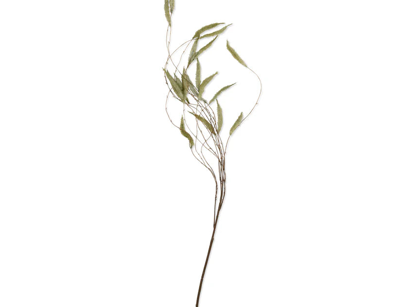 Abigail Ahern Artificial Trailing Catkin, single wispy green faux stem on white