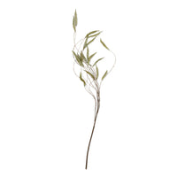 Abigail Ahern Artificial Trailing Catkin, single wispy green faux stem on white