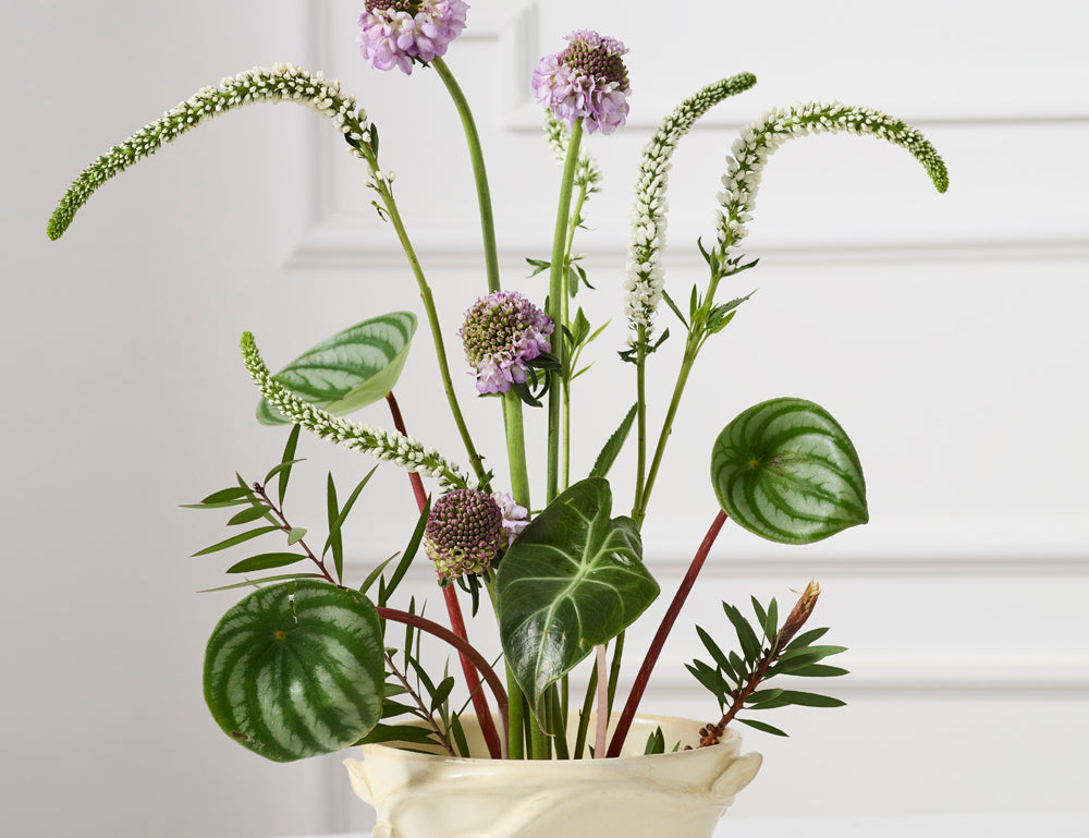Bianca Compote, second view, the raised leaf and branch detail up close.