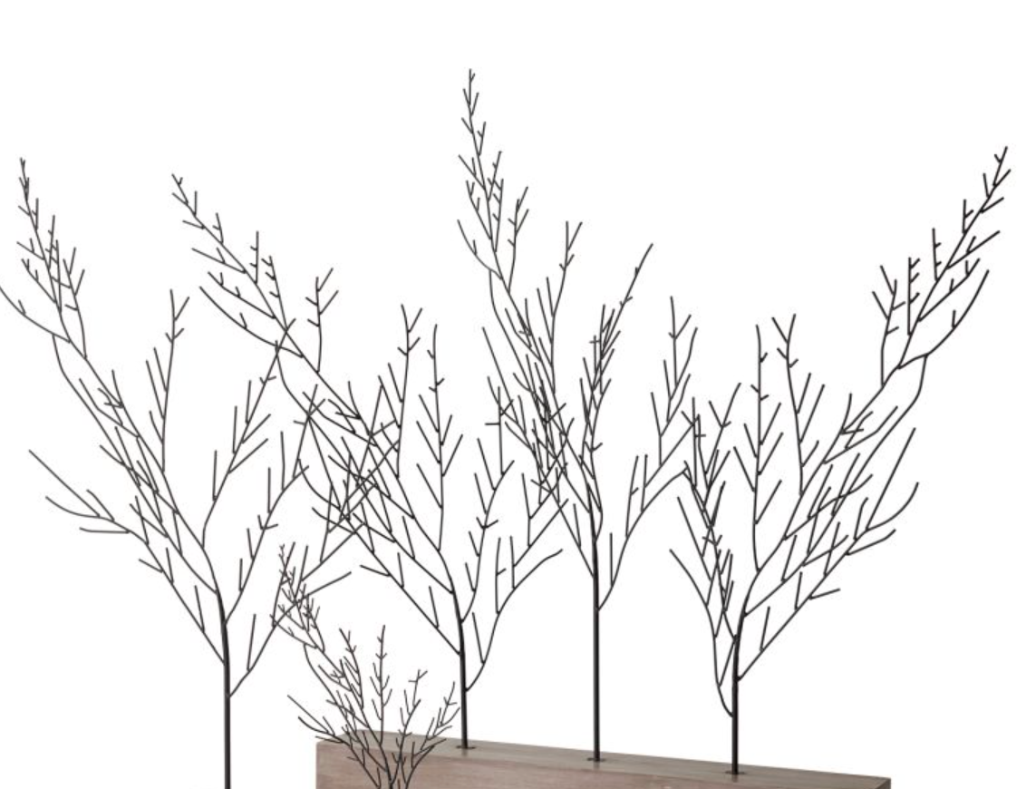 Large Buckthorne Tree, bare black branch tree on a long rectangular wood block base