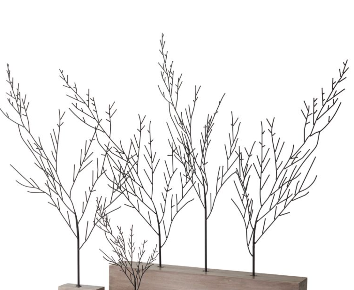 Large Buckthorne Tree, bare black branch tree on a long rectangular wood block base