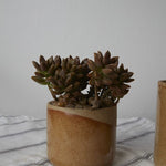 Small Marbella Pot, the small ceramic planter half dipped in tan glaze.