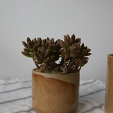 Small Marbella Pot, the small ceramic planter half dipped in tan glaze.