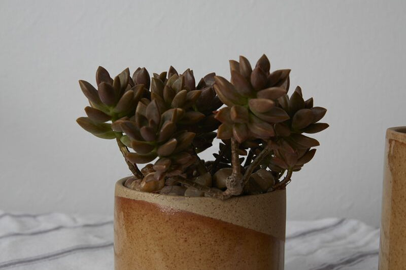 Small Marbella Pot, the small ceramic planter half dipped in tan glaze.