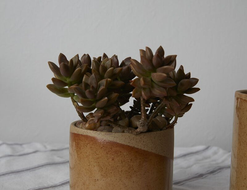 Small Marbella Pot, the small ceramic planter half dipped in tan glaze.