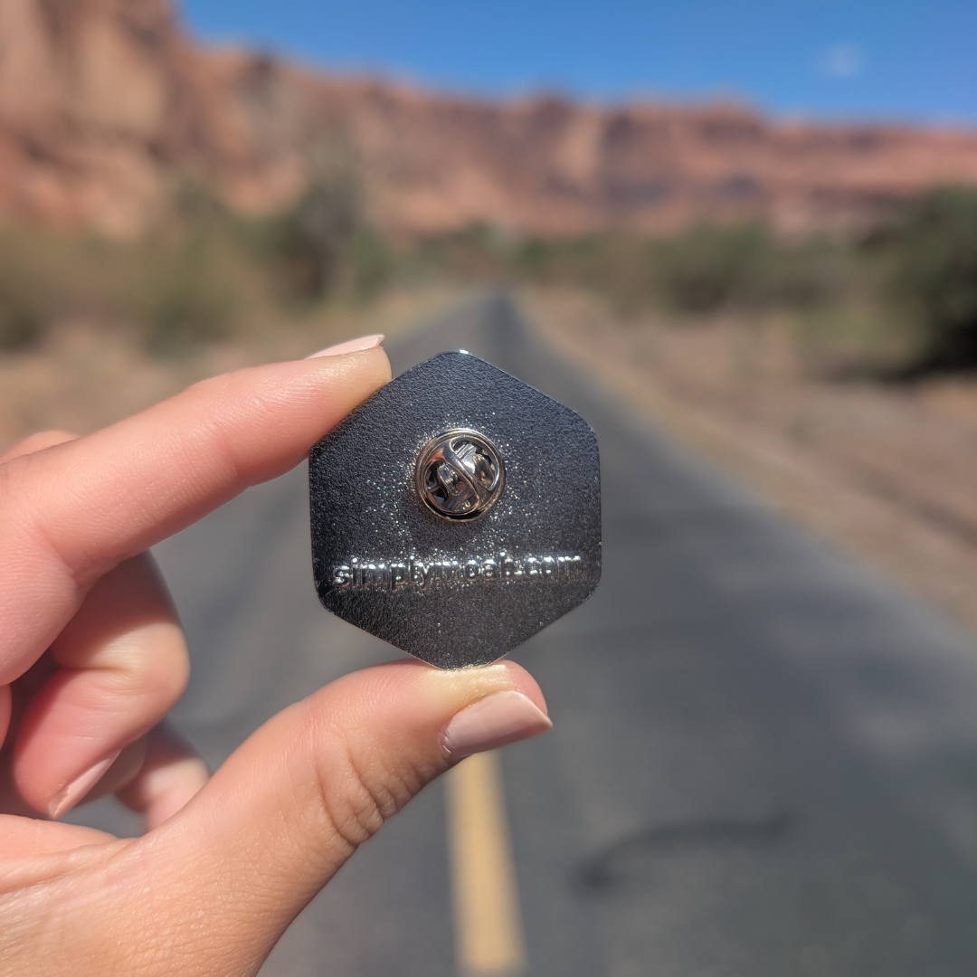 Back of the Arches National Park hexagon sunset enamel pin showing the rubber clutch.