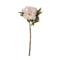 Abigail Ahern Peony Evening Dew, a single faux peony stem with a soft blush white bloom and green leaves