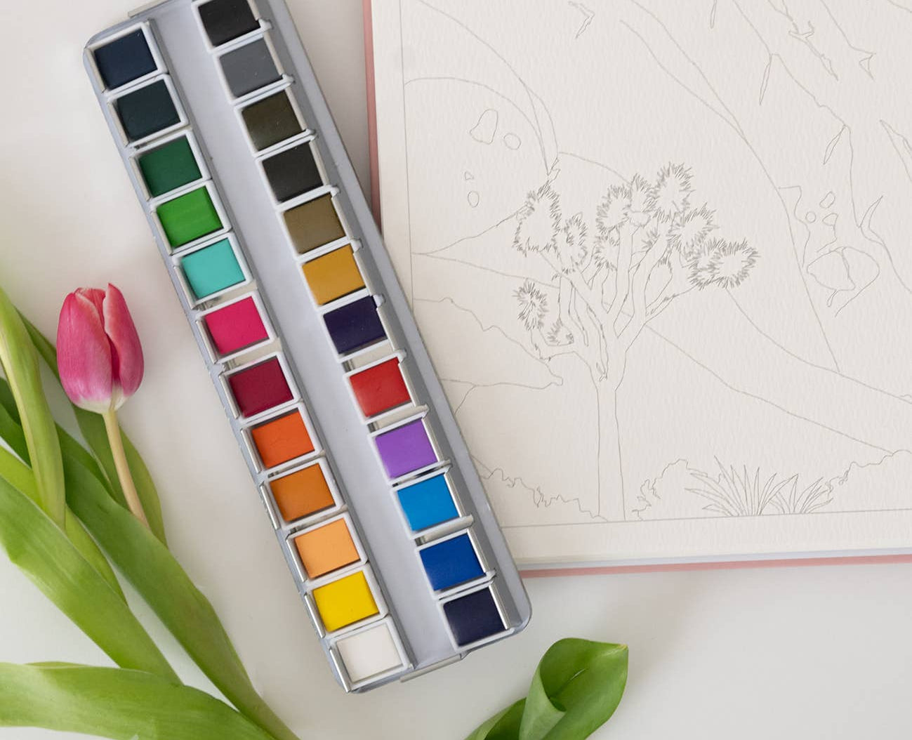 Bailey Rae Studio 24 Color Watercolor Paint Palette, open tin on a table with a pink tulip and a watercolor outline page