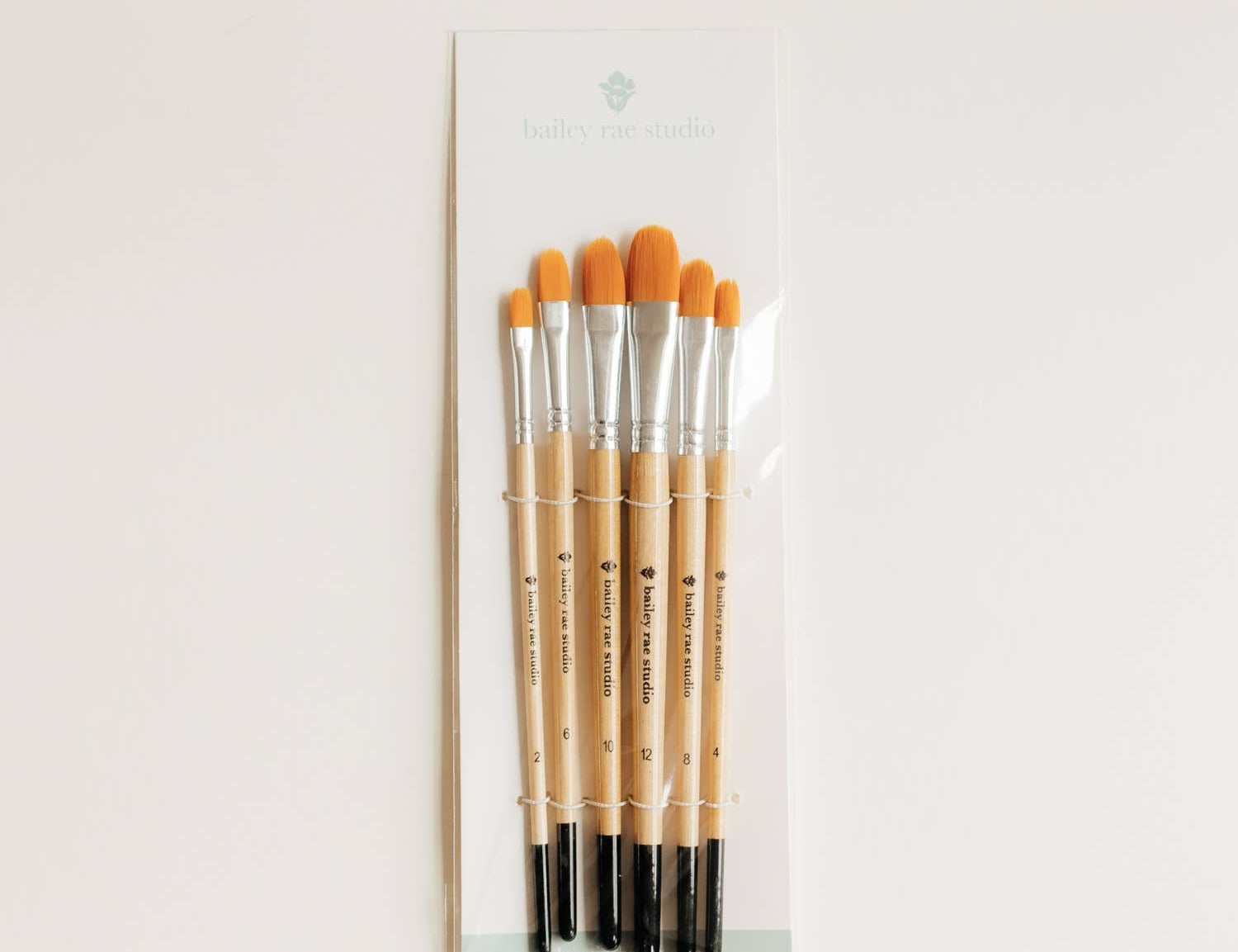 Bailey Rae Studio Filbert Watercolor Brush Set of 6 in its packaging sleeve