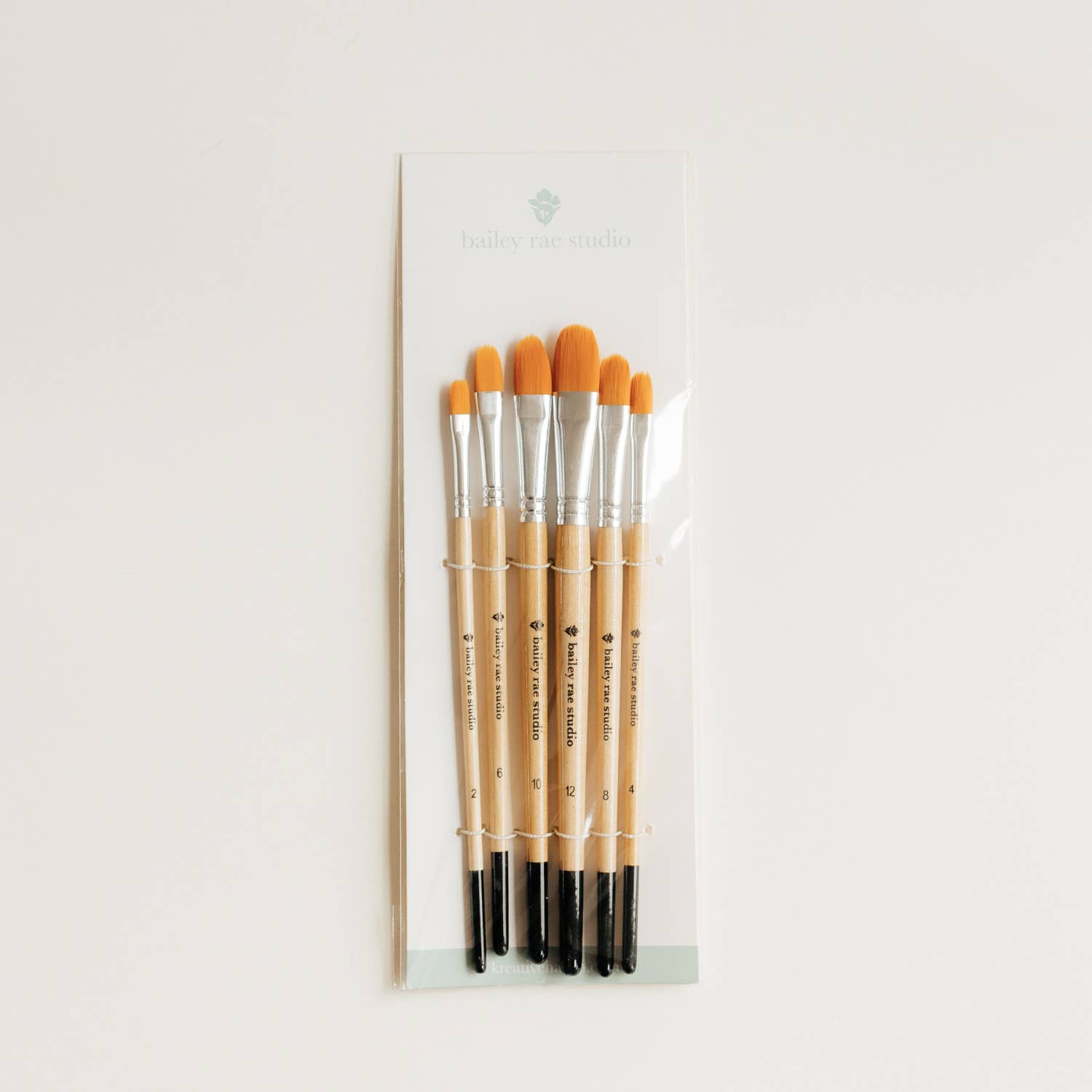 Bailey Rae Studio Filbert Watercolor Brush Set of 6 in its packaging sleeve