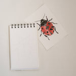 Bailey Rae Studio Mini A Little Bit of Spring Watercoloring Book, ladybug outline page beside a painted red ladybug