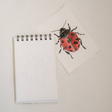 Bailey Rae Studio Mini A Little Bit of Spring Watercoloring Book, ladybug outline page beside a painted red ladybug