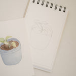 Bailey Rae Studio Mini A Little Bit of Spring Watercoloring Book, seedling pot outline page beside a painted sprouting seedling