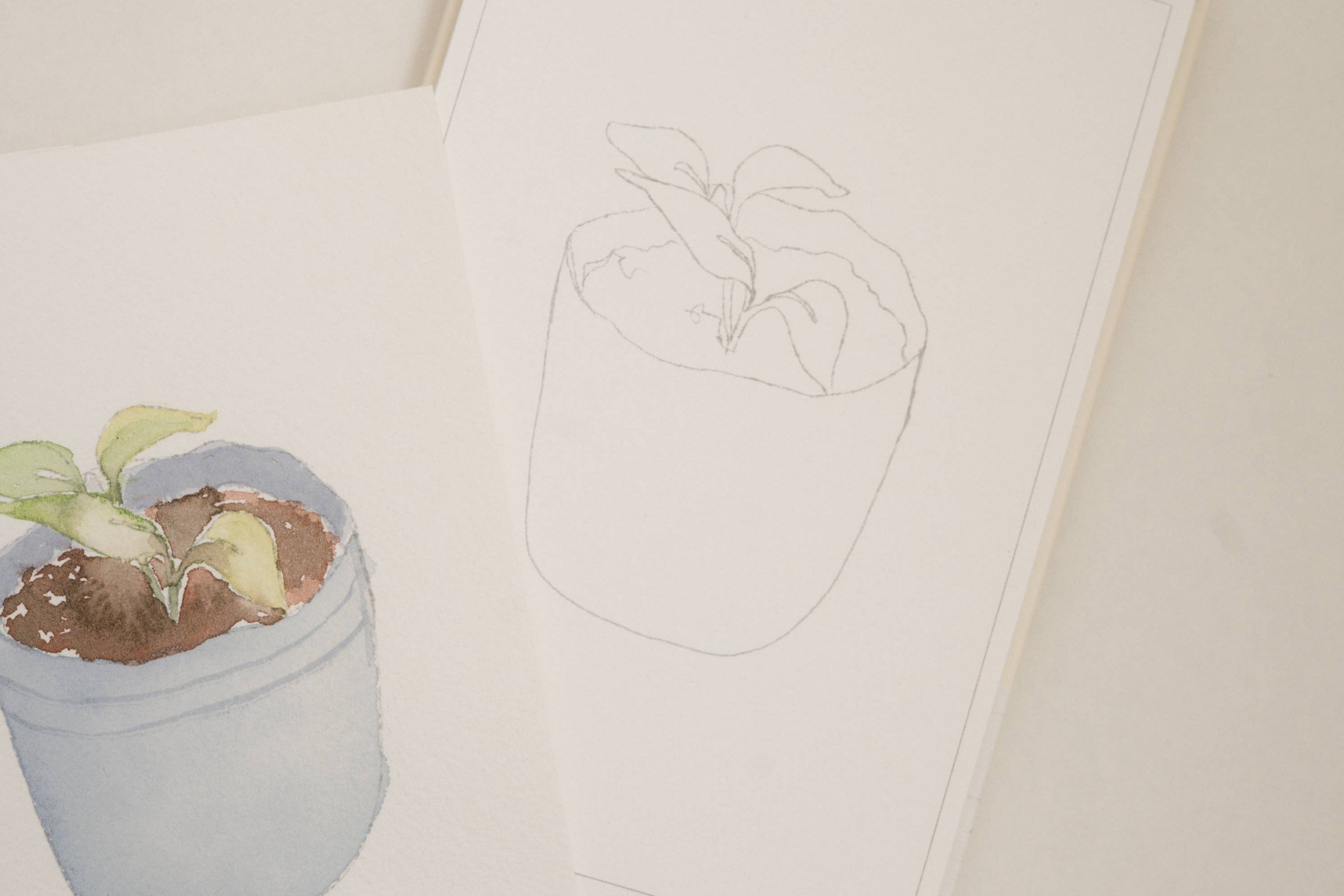 Bailey Rae Studio Mini A Little Bit of Spring Watercoloring Book, seedling pot outline page beside a painted sprouting seedling