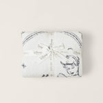 Barefoot Dreams Cozy Disney Princess Blanket in Cinderella folded and tied with a Disney ribbon