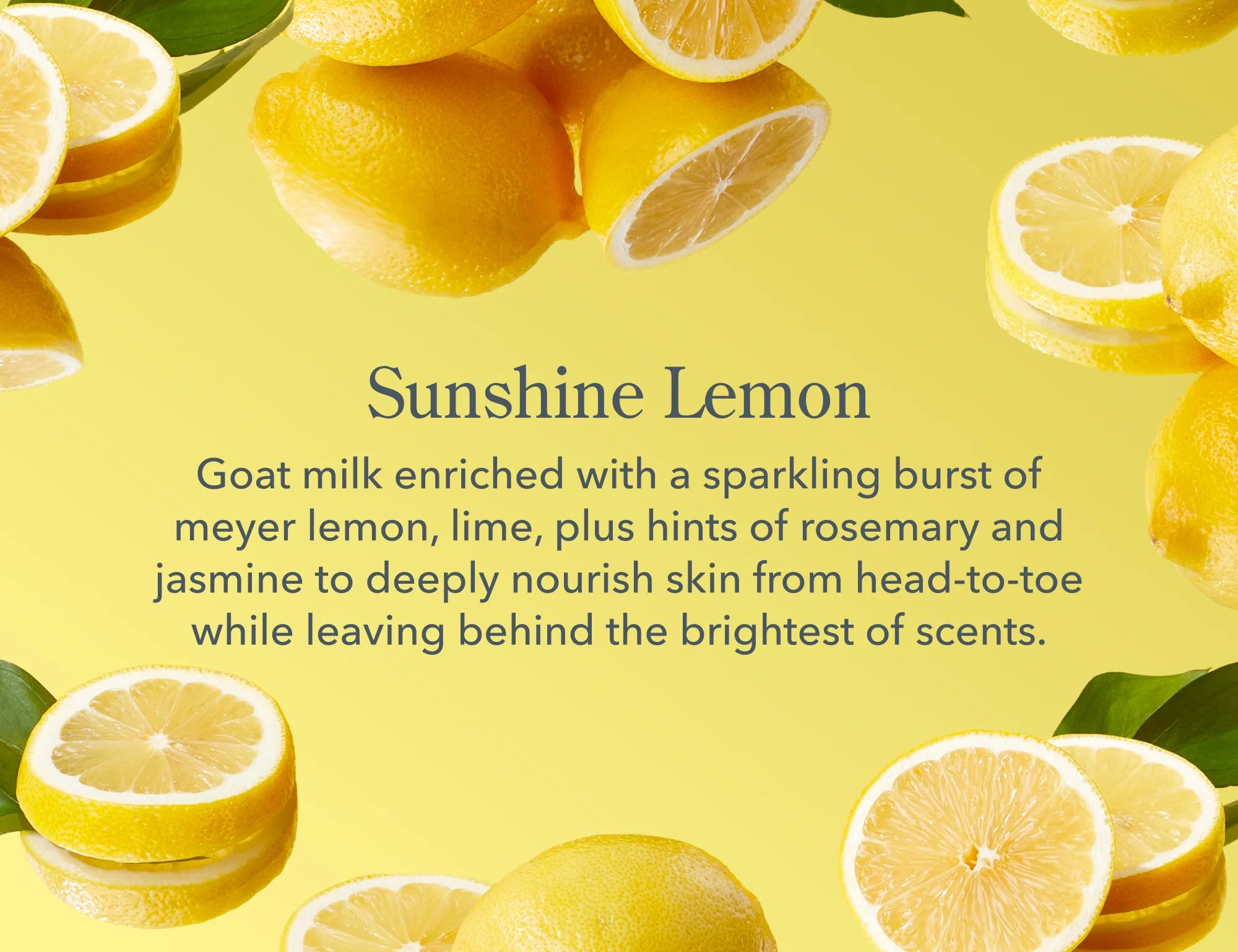 Beekman 1802 Sunshine Lemon scent description with fresh lemons on a yellow background