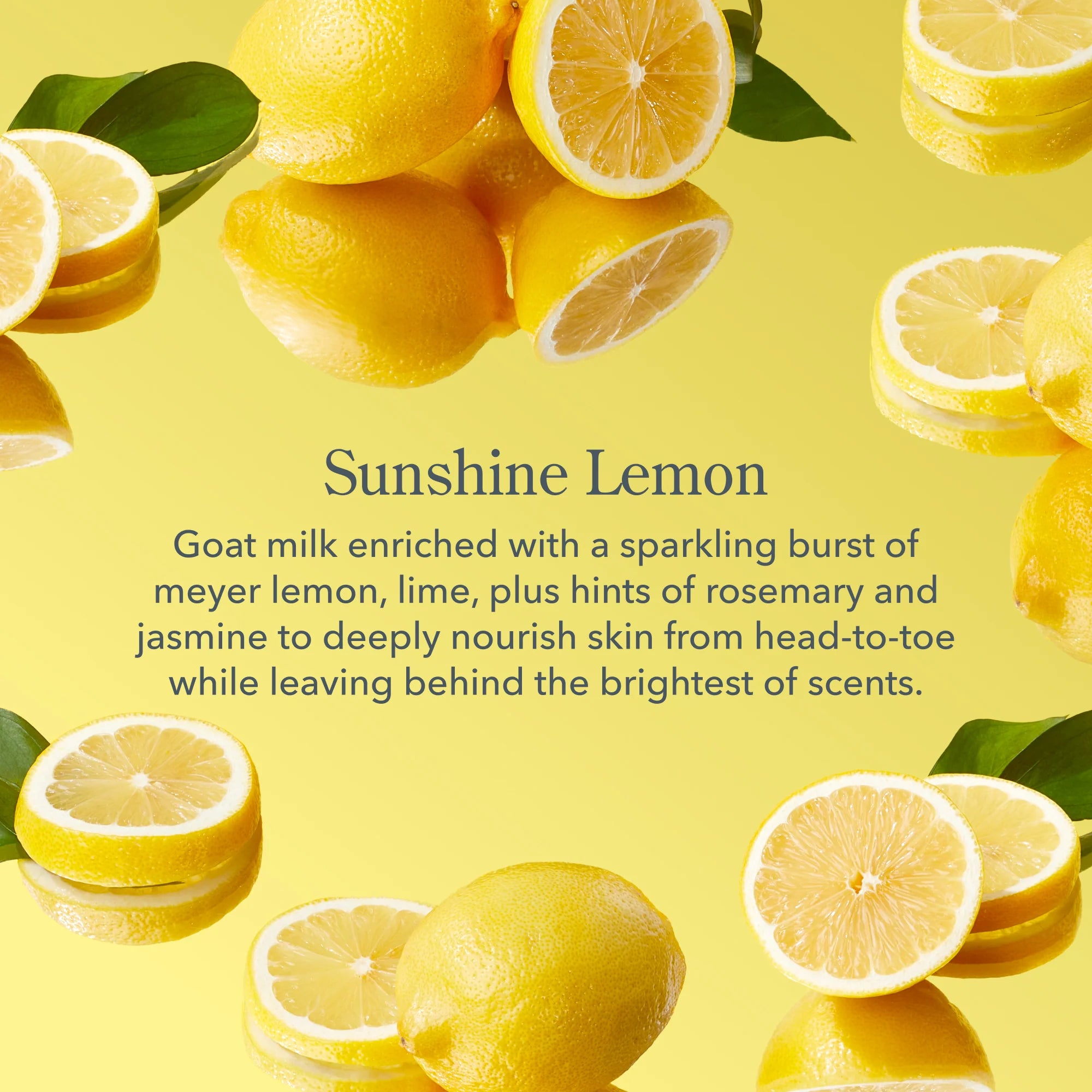 Beekman 1802 Sunshine Lemon scent description with fresh lemons on a yellow background