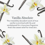 Beekman 1802 Vanilla Absolute scent description with vanilla beans and white orchids