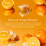 Beekman 1802 Honey & Orange Blossom scent description with oranges and honeycomb