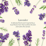 Beekman 1802 Lavender scent description surrounded by fresh lavender sprigs
