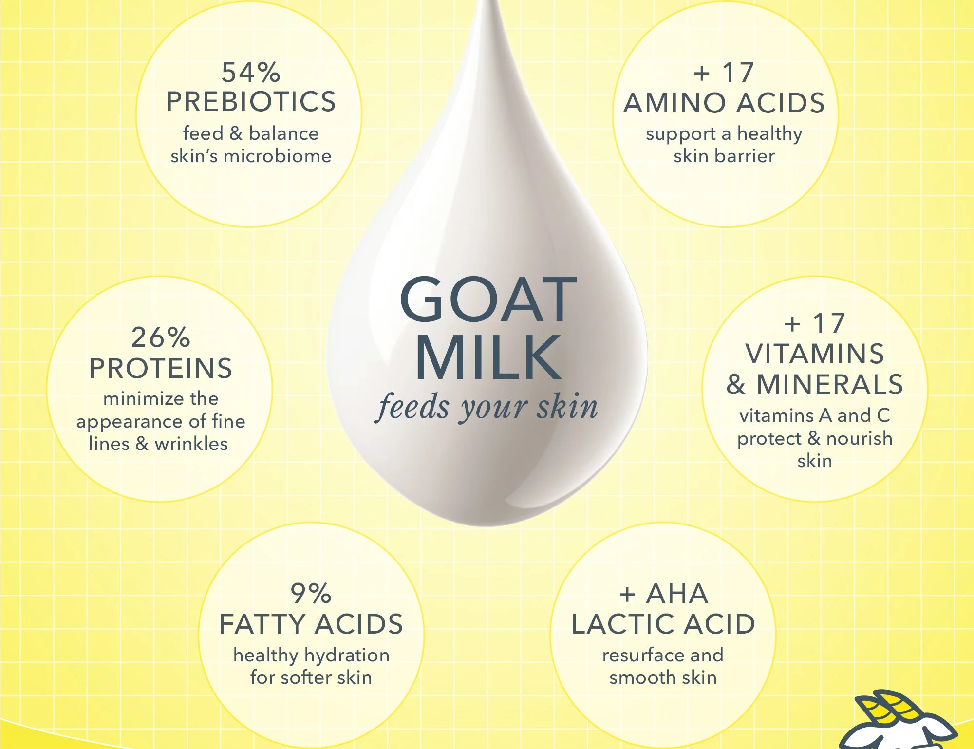 Beekman 1802 goat milk benefits infographic: prebiotics, proteins, fatty acids, amino acids, vitamins and lactic acid