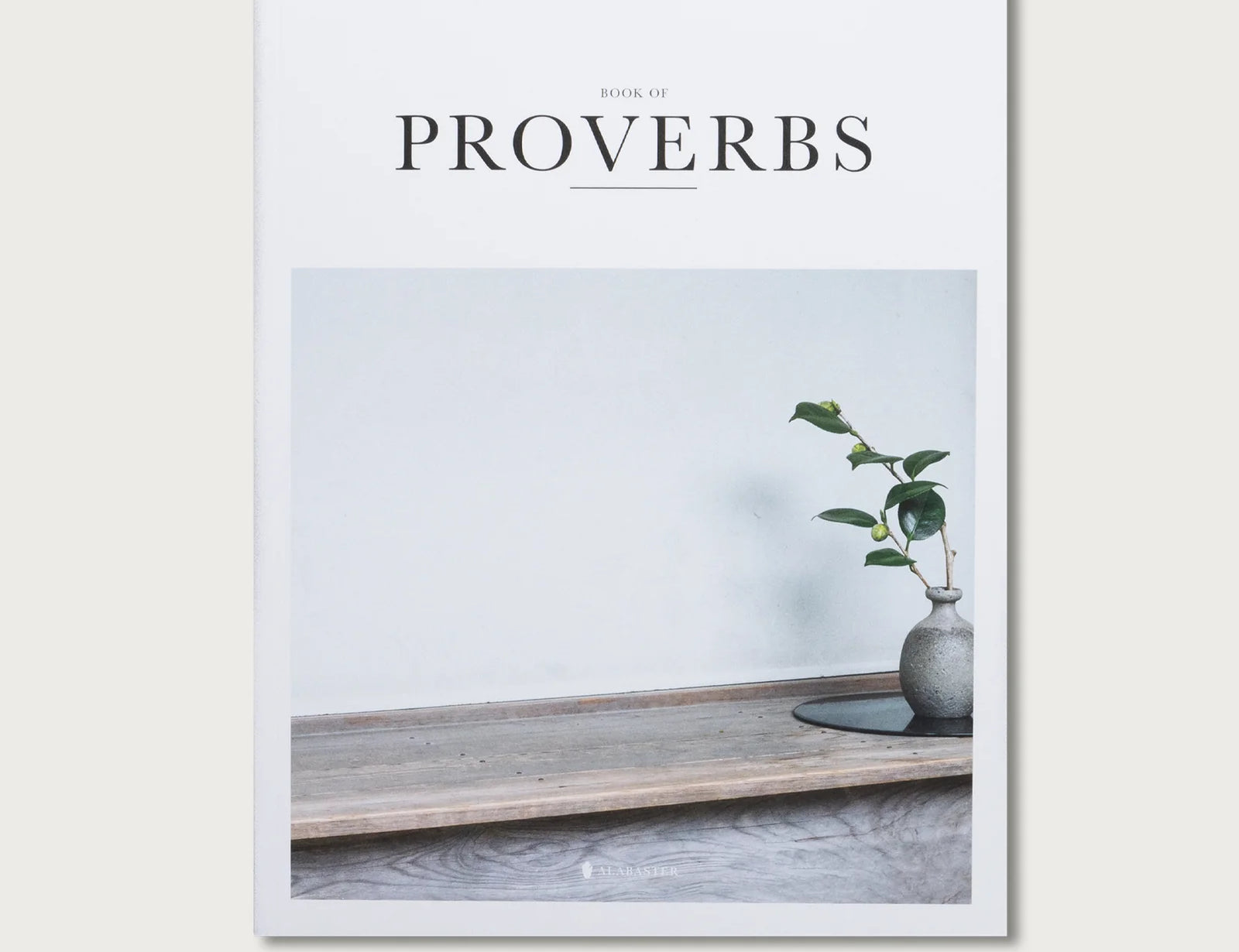Book of Proverbs KJV hardcover with a white cover and a photo of a plant on a windowsill