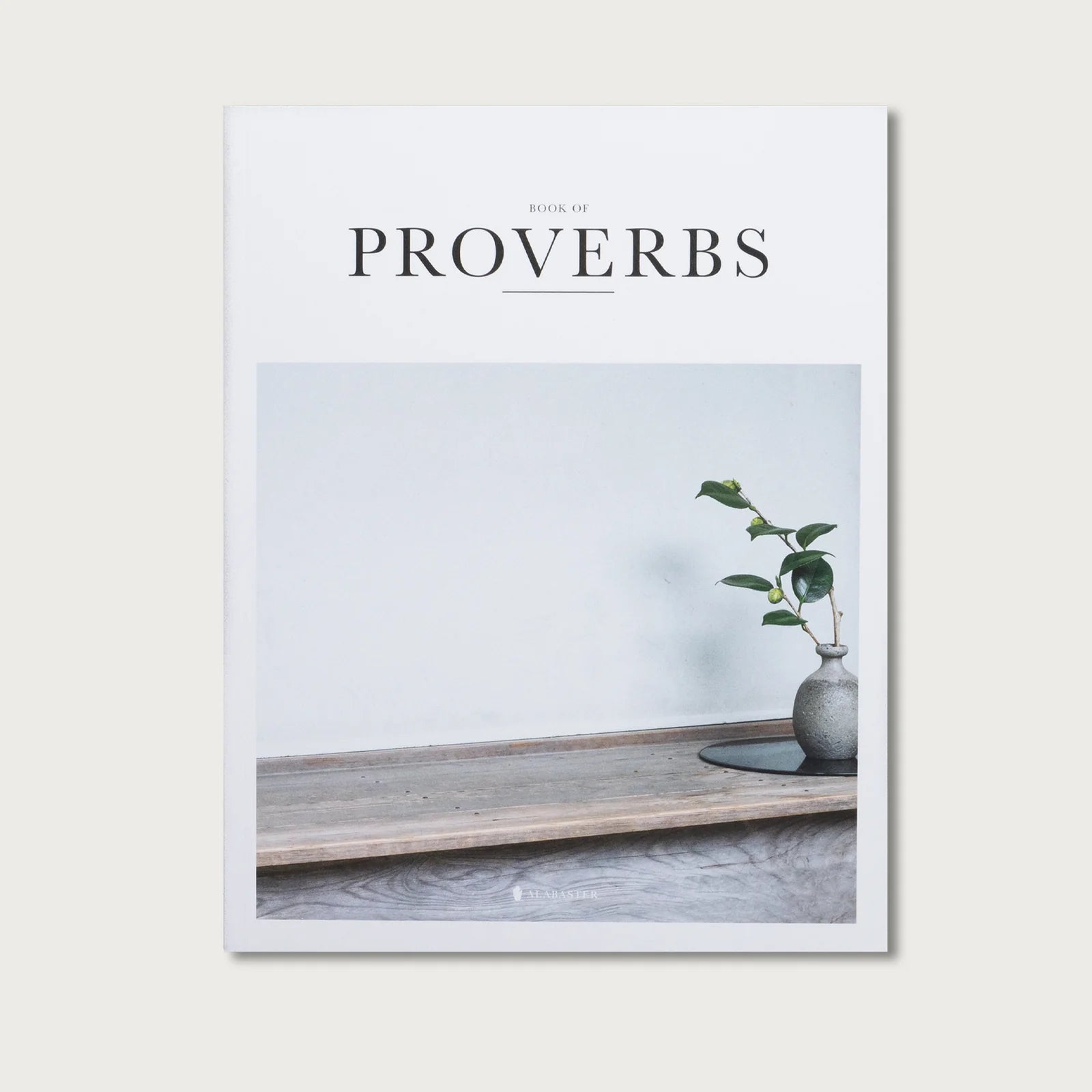 Book of Proverbs KJV hardcover with a white cover and a photo of a plant on a windowsill
