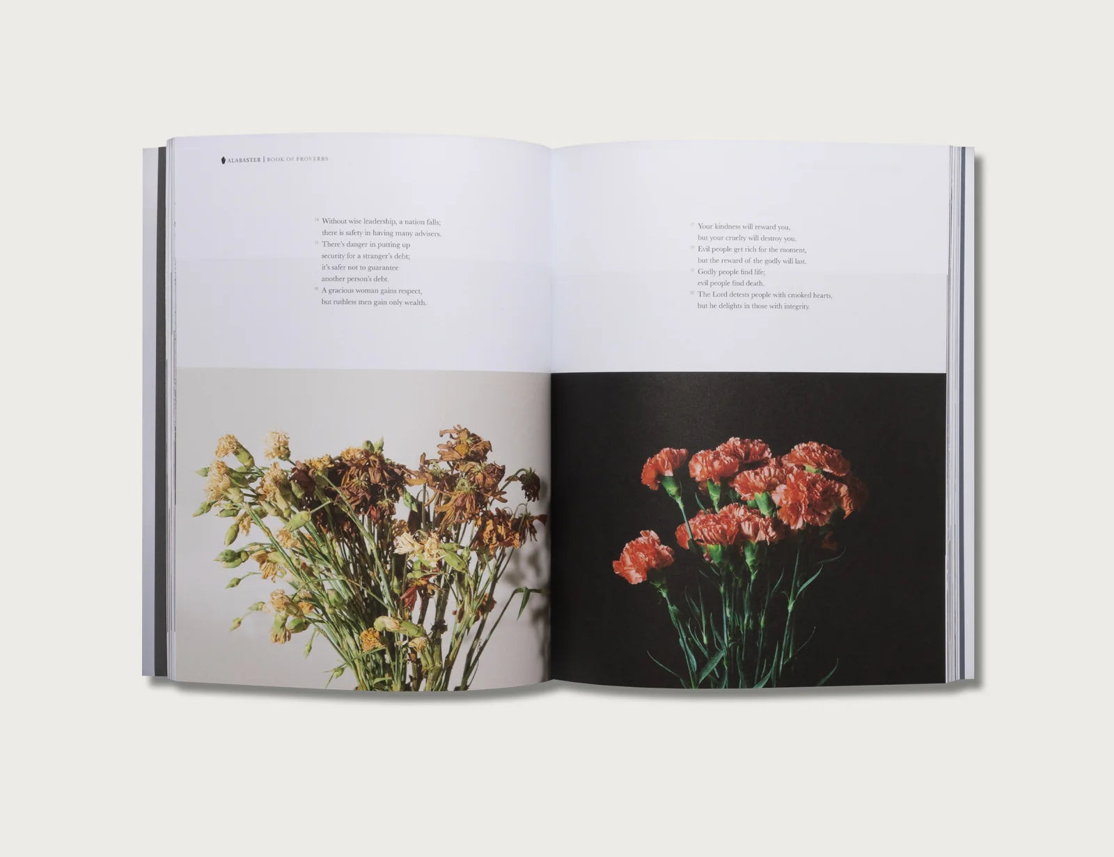 Book of Proverbs KJV hardcover open to a spread with photos of dried flowers