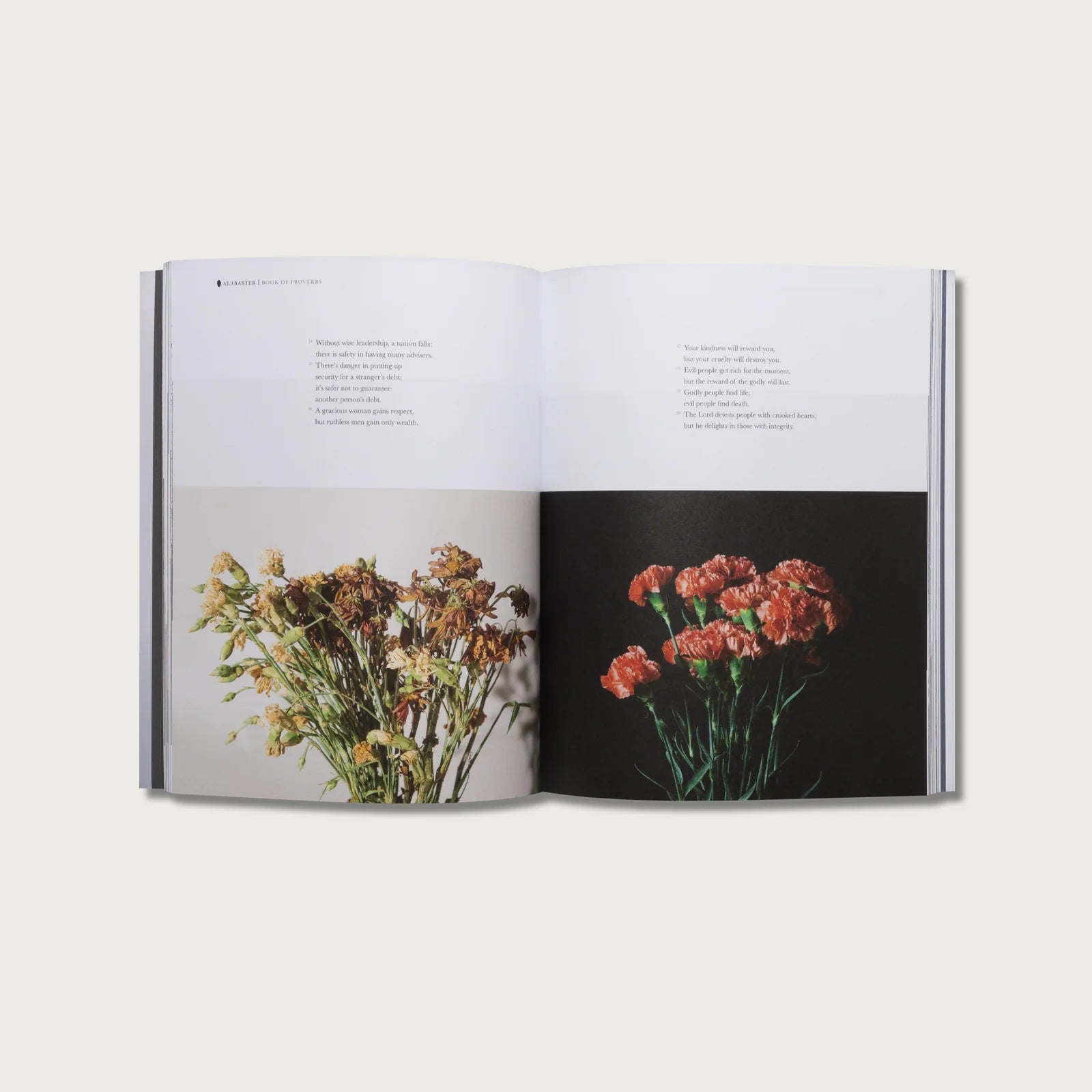 Book of Proverbs KJV hardcover open to a spread with photos of dried flowers
