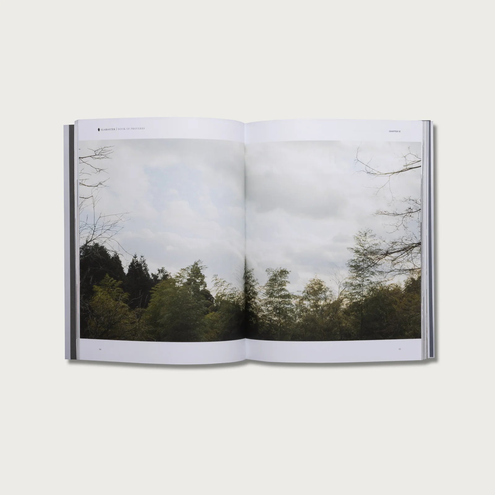 Book of Proverbs KJV hardcover open to a spread with a cloudy forest landscape photo