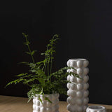Mindful Modern collection Bubble pots with matte white finish in sizes small, medium with plant inside, and large, on wooden surface and dark background. 