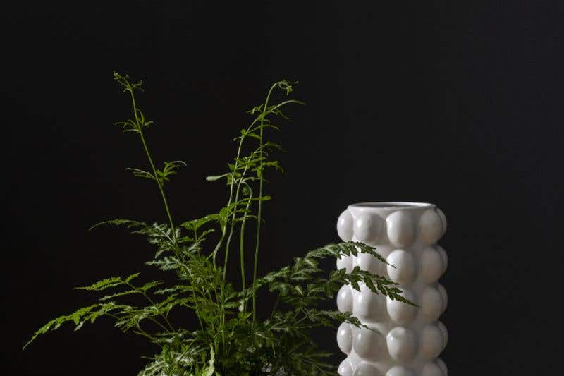 Mindful Modern collection Bubble pots with matte white finish in sizes small, medium with plant inside, and large, on wooden surface and dark background. 