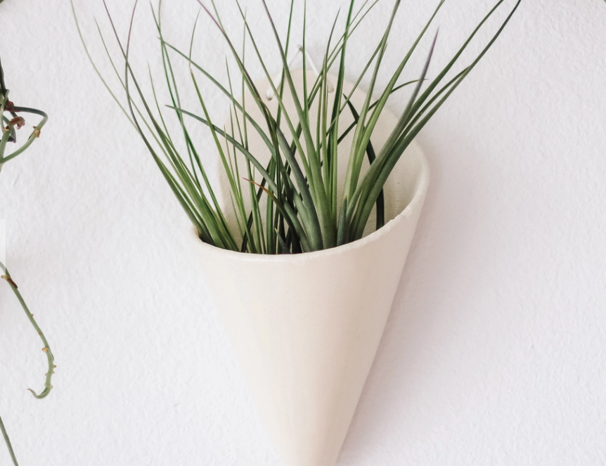 Carter & Rose Large Ceramic Cone, a white wall-mounted cone planter holding an air plant
