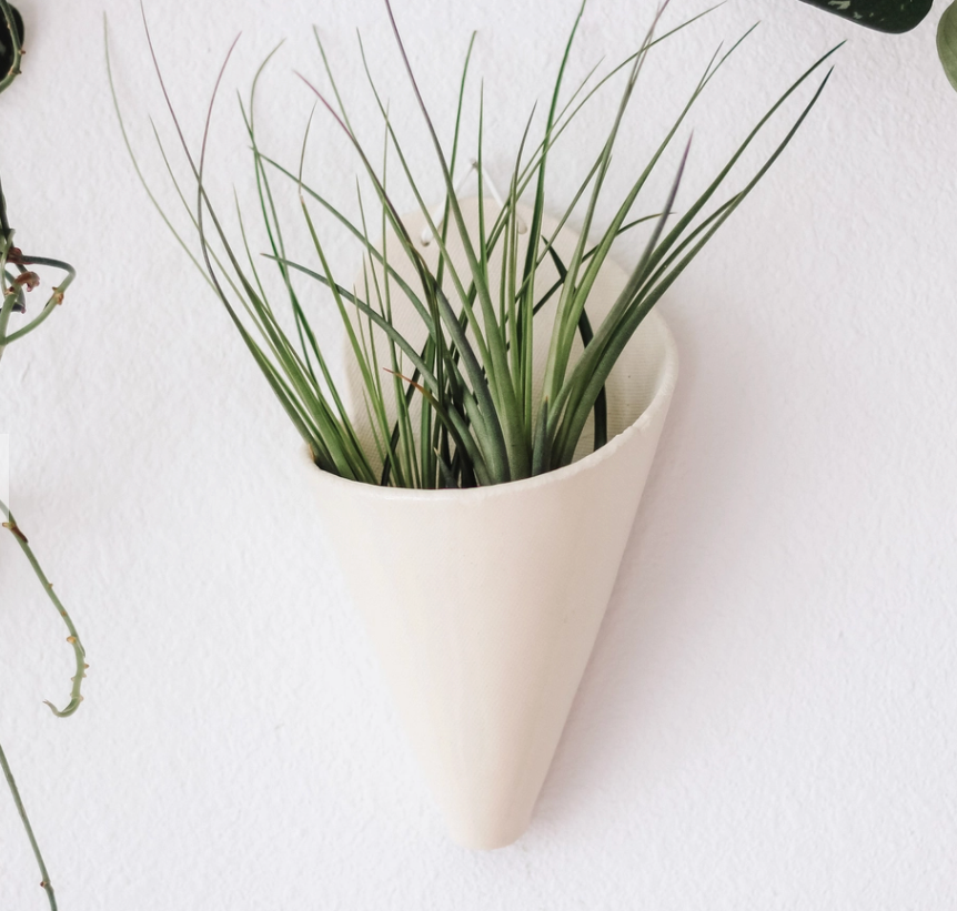 Carter & Rose Large Ceramic Cone, a white wall-mounted cone planter holding an air plant