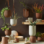 Citrine Canyon Tabletop Vessels and planters in terracotta and white displayed with hanging plants