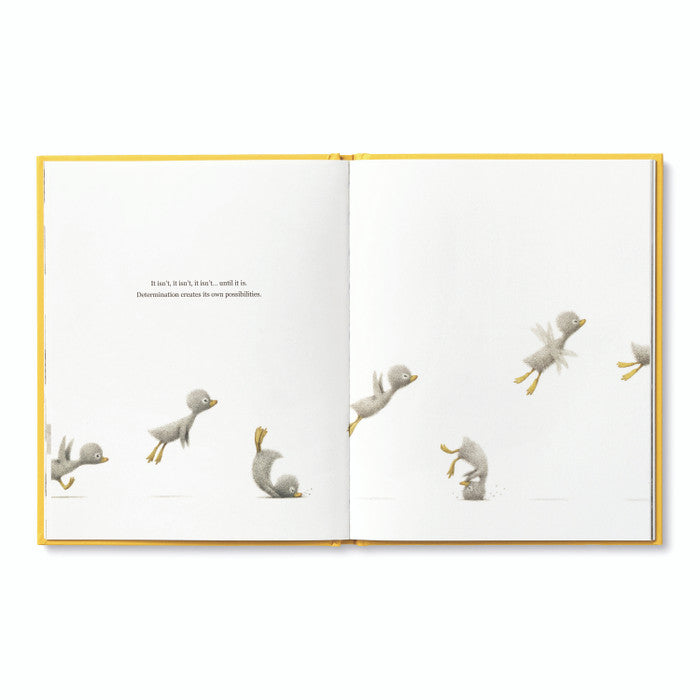 Compendium Finding Muchness book open to a bird tumbling and playing across two pages