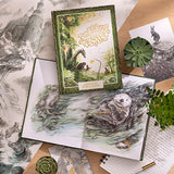 Compendium The Storyteller's Almanac book displayed with open pages, a succulent and pencils