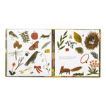 Compendium Tiny, Perfect Things book open to a collage of found nature treasures