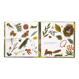 Compendium Tiny, Perfect Things book open to a collage of found nature treasures