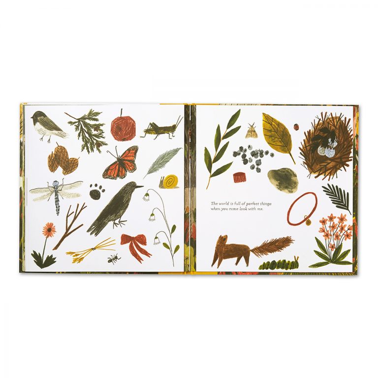 Compendium Tiny, Perfect Things book open to a collage of found nature treasures