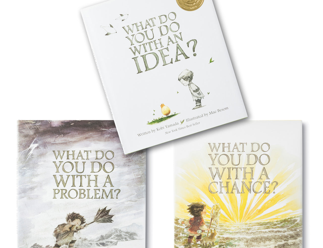 Compendium What You Do Matters Set, the three books: What Do You Do With an Idea, a Problem and a Chance